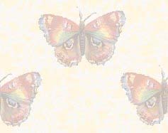 Прозрачные бабочки
