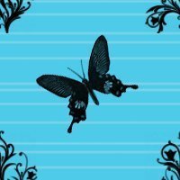 Черная бабочка на голубом