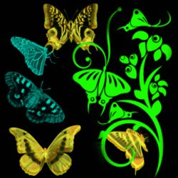 Желто-зеленые бабочки на черном