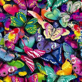 разнообразные яркие бабочки