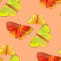 Бабочки разноцветные на персиковом