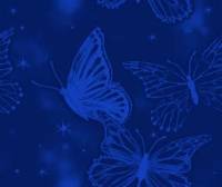 Синяя бабочка на синем