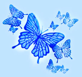 Бабочки синие на голубом