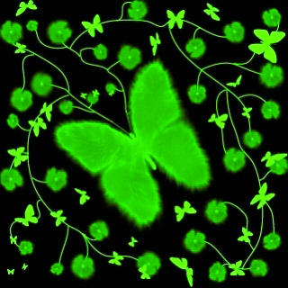 Зеленая бабочка на зелени