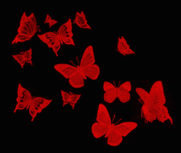 Яркие красные бабочки на черном