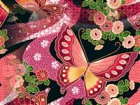 Красиво нарисованные бабочки