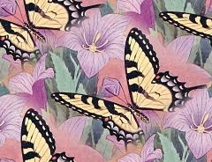 Красивые бабочки на розовом фоне