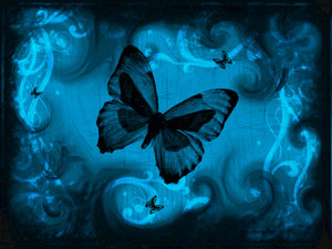 Бабочки на черно-голубом