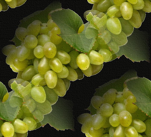 Зеленый солнечный виноград