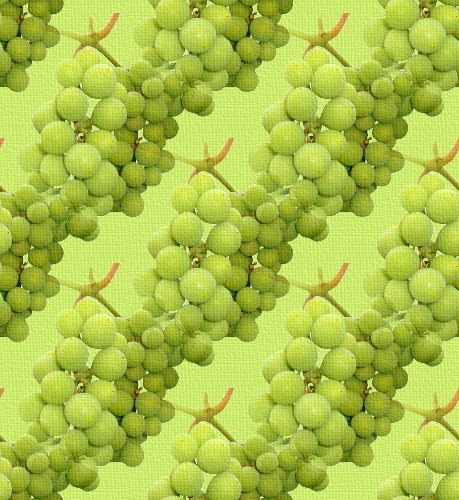 Зеленый виноград полосами на зеленом