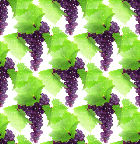 Черный виноград с зелеными листьями на белом