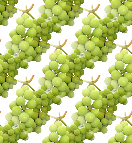 Зеленый виноград полосами на белом