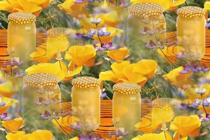 Мед и цветы