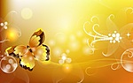 Красивая бабочка на желтом