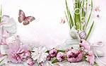 Бабочка над бело-розовыми цветами