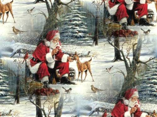 Санта Клаус кормит животных в лесу