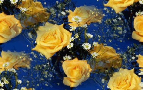 Желтые розы с ромашками в воде
