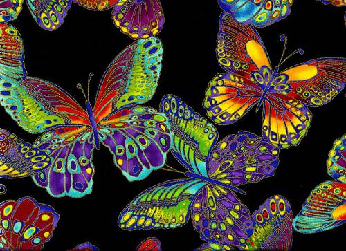 Яркие бабочки на черном