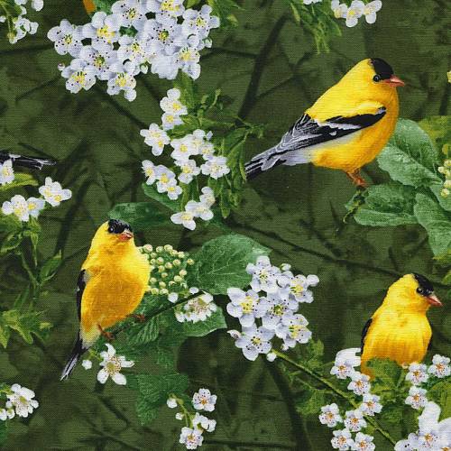Птицы на цветущих ветвях