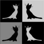 Коты на белом, черном и  сером фоне
