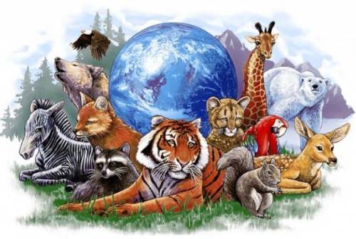 Животные и наша планета