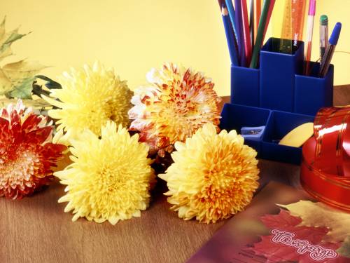 Цветы на столе учителя. 1 сентября