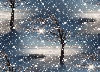 Дерево и снегопад