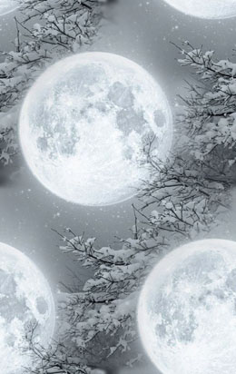 Зимние бесшовные фоны. Луна