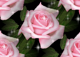 Розовые розы на зеленом