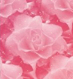 Розовые цветы с бликами