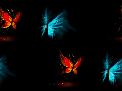 Бабочки в ночи