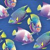 Разноцветные рыбки в воде