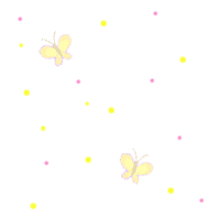 Желтые бабочки на белом