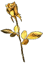 Разделитель вертикальный - золотая роза