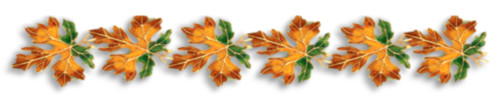 Разделитель -листва клена
