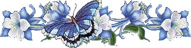 Красивая бабочка на бело-голубых цветах. Разделитель