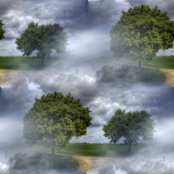 Облака и деревья