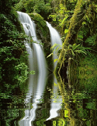 Водопад среди зелени