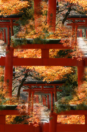 Золотая осень Японии. БШФ