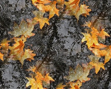 Золотая осень. Яркие листья в серых лужах