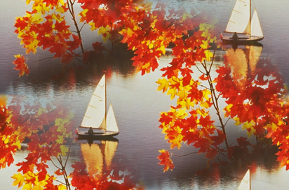 Яхты сквозь осеннюю листву