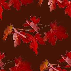 Осенние листья на бордовом