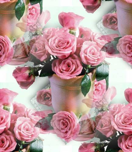 Розовые розы в белой вазе на белом