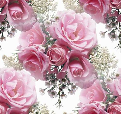 Розовый букет роз на белом