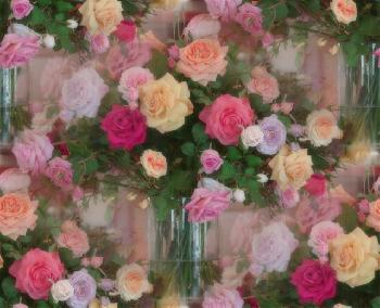 Красивый букет разноцветных роз в прозрачной вазе