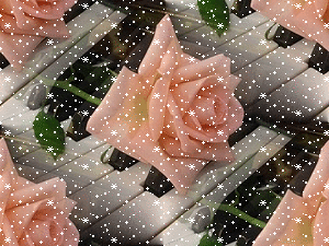Роза на клавишах рояля. Снег