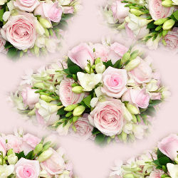 Розы розовые на бледно розовом фоне