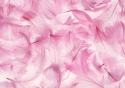 Розовые перья пушистые