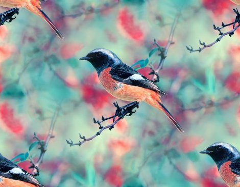 Птицы на розово-голубом фоне