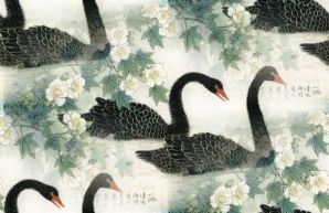 Черные лебеди и белые цветы